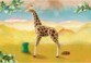 PLAYMOBIL Wiltopia 71048 – Giraffe